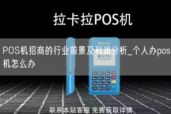 POS机招商的行业前景及利润分析_个人办pos机怎么办(图1)