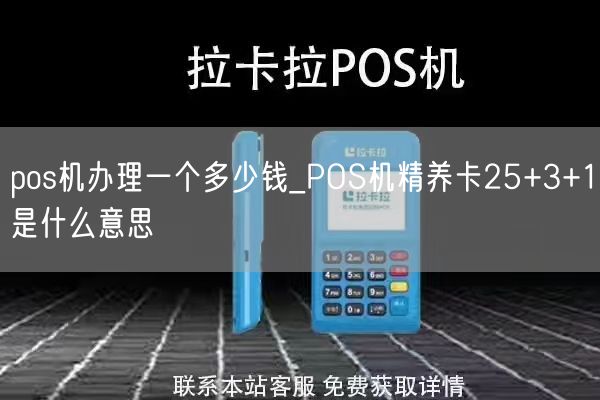 pos机办理一个多少钱_POS机精养卡25+3+1是什么意思