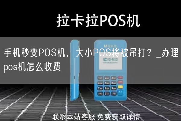 手机秒变POS机，大小POS将被吊打？_办理pos机怎么收费(图1)