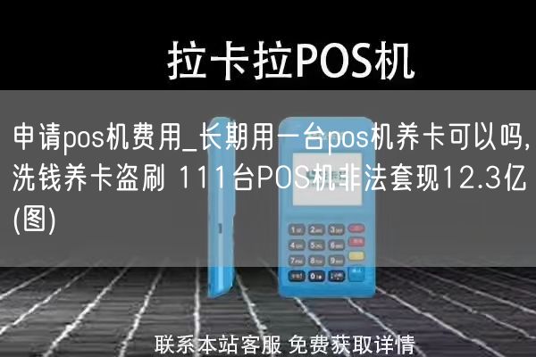 申请pos机费用_长期用一台pos机养卡可以吗,洗钱养卡盗刷 111台POS机非法套现12.3亿(图)(图1)